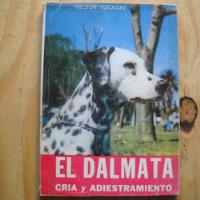 Usado, El Dalmata, Cria Y Adiestramiento, Hector Tocagni, Ediciones segunda mano  Chile 