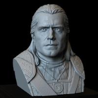 Archivo Stl Impresión 3d - The Witcher - Geralt Netflix Bust segunda mano  Chile 