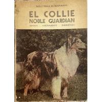 El Collie Noble Guardian Nelly Perla De Bacigalupo segunda mano  Chile 