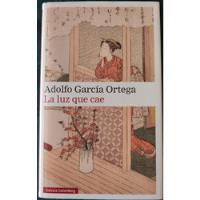 La Luz Que Cae. Adolfo García Ortega. segunda mano  Chile 