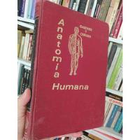Anatomía Humana  Dr. Weston D. Gardner, Dr. William A. Osbur segunda mano  Chile 