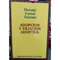 Adopción Y Filiación Adoptiva / Hernán Corral Talciani, usado segunda mano  Chile 