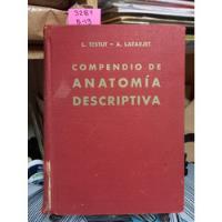 Compendio De Anatomía Descriptiva // L. Testut, A. Latarjet segunda mano  Chile 
