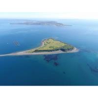 Venta Exclusiva Isla Perteneciente Al Archipiélago De Chiloé segunda mano  Chile 