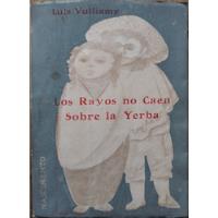 Los Rayos No Caen Sobre La Yerba - Luis Vulliamy, usado segunda mano  Chile 