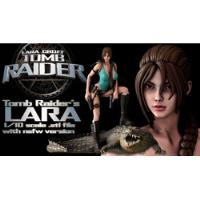 Archivo Stl Impresión 3d - Tomb Raider - Lara Croft - Pggast segunda mano  Chile 