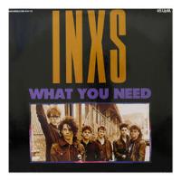 Inxs - What You Need 12  Maxi Single Vinilo Usado segunda mano  Chile 