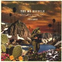 Try Me Bicycle - Voicings (cd) segunda mano  Chile 