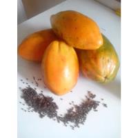 Semillas De Papaya Tropical 15 Unidades Seleccionadas , usado segunda mano  Chile 