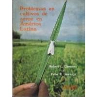 Problemas En Cultivos De Arroz En América Latina / Cheaney Y segunda mano  Chile 