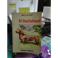 dachshund miniatura segunda mano  Chile 