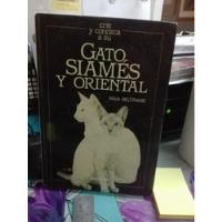 Gato , Siames Y Oriental // Maia Beltrame , usado segunda mano  Chile 