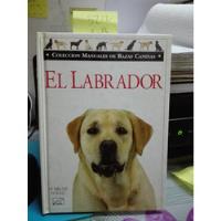 El Labrador // Dr. Bruce Fogle C1 segunda mano  Chile 