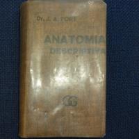 Anatomia Descriptiva, Dr J. A. Fort, Ed. Gustavo Gili, usado segunda mano  Chile 